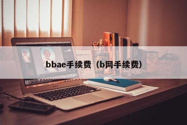 bbae手续费（b网手续费）