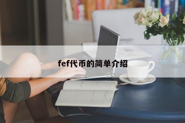 fef代币的简单介绍