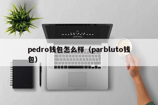 pedro钱包怎么样（parbluto钱包）