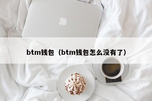 btm钱包（btm钱包怎么没有了）