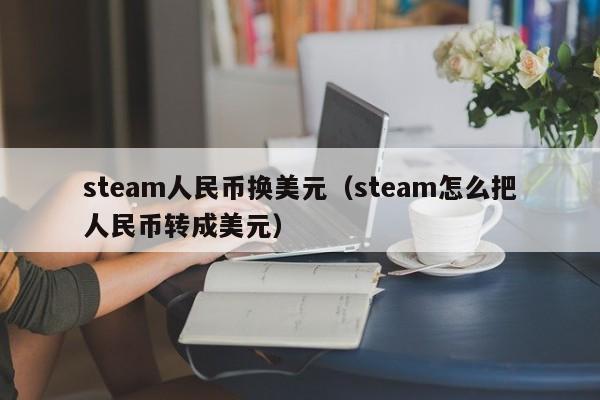 steam人民币换美元（steam怎么把人民币转成美元）