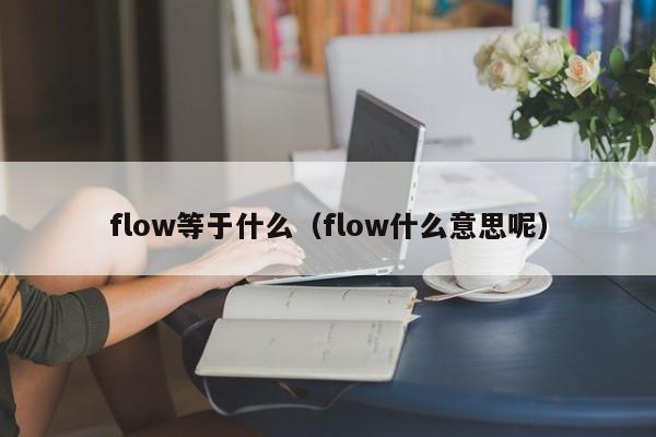 flow等于什么（flow什么意思呢）