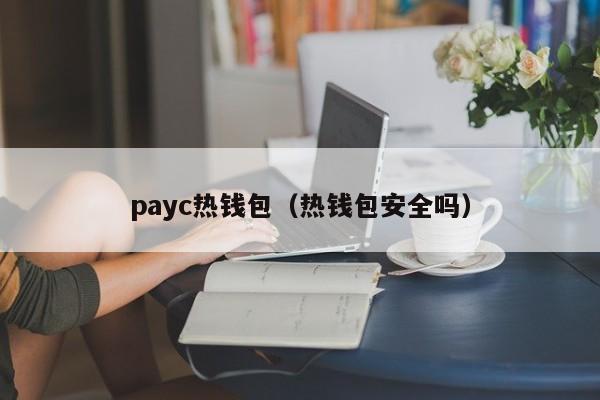 payc热钱包（热钱包安全吗）