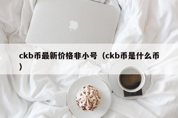 ckb币最新价格非小号（ckb币是什么币）