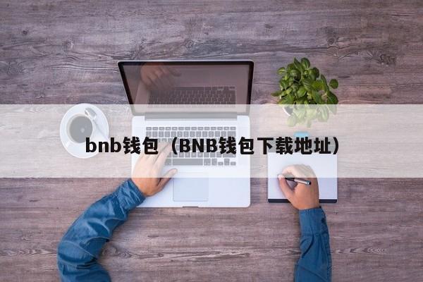 bnb钱包（BNB钱包下载地址）