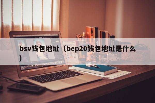 bsv钱包地址（bep20钱包地址是什么）