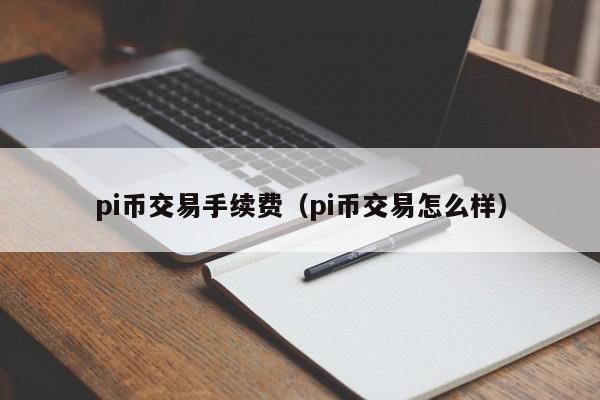 pi币交易手续费（pi币交易怎么样）