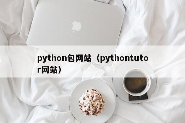 python包网站（pythontutor网站）