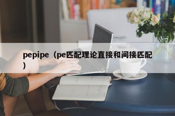 pepipe（pe匹配理论直接和间接匹配）