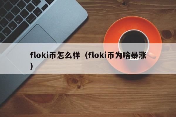 floki币怎么样（floki币为啥暴涨）