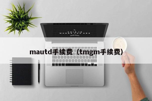 mautd手续费（tmgm手续费）