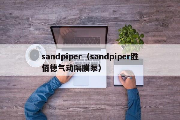 sandpiper（sandpiper胜佰德气动隔膜泵）