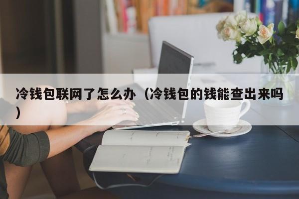 冷钱包联网了怎么办（冷钱包的钱能查出来吗）