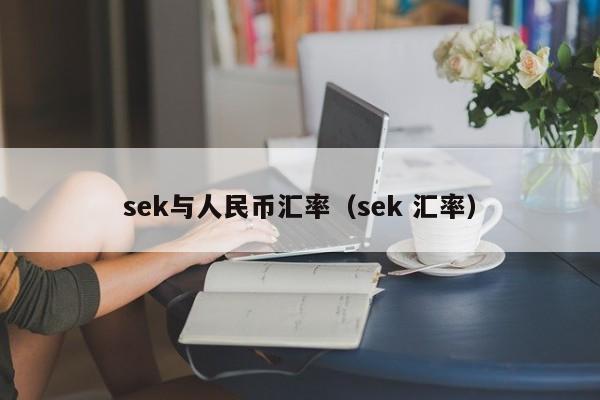 sek与人民币汇率（sek 汇率）