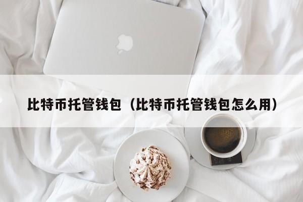 比特币托管钱包（比特币托管钱包怎么用）