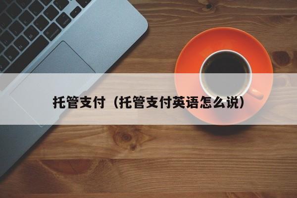 托管支付（托管支付英语怎么说）