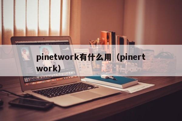 pinetwork有什么用（pinertwork）