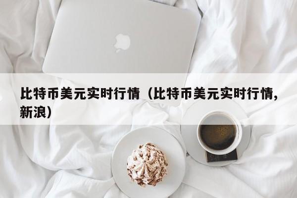 比特币美元实时行情（比特币美元实时行情,新浪）