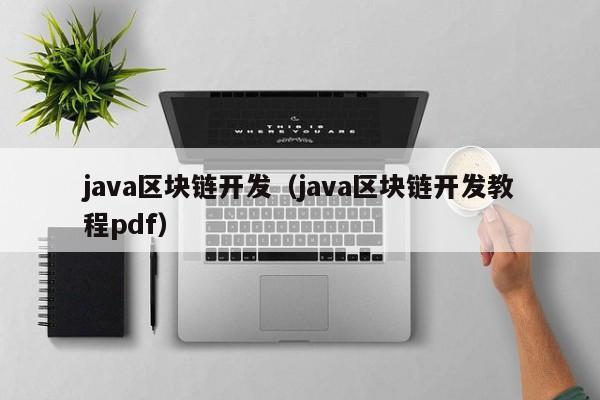 java区块链开发（java区块链开发教程pdf）