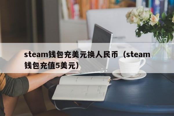 steam钱包充美元换人民币（steam钱包充值5美元）