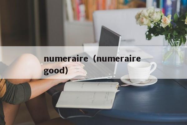 numeraire（numeraire good）