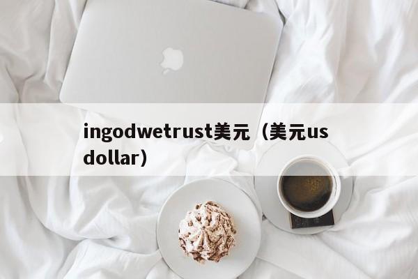 ingodwetrust美元（美元us dollar）