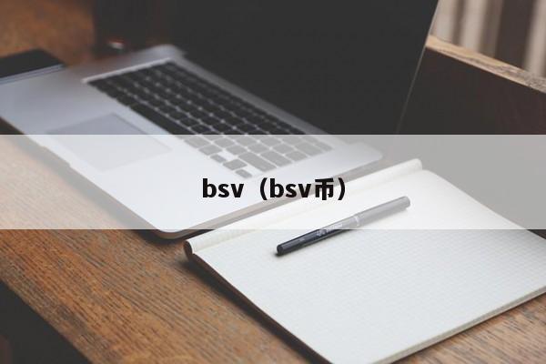 bsv（bsv币）