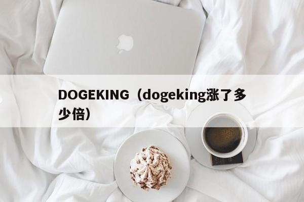 DOGEKING（dogeking涨了多少倍）