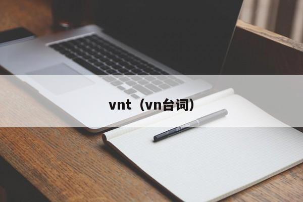 vnt（vn台词）