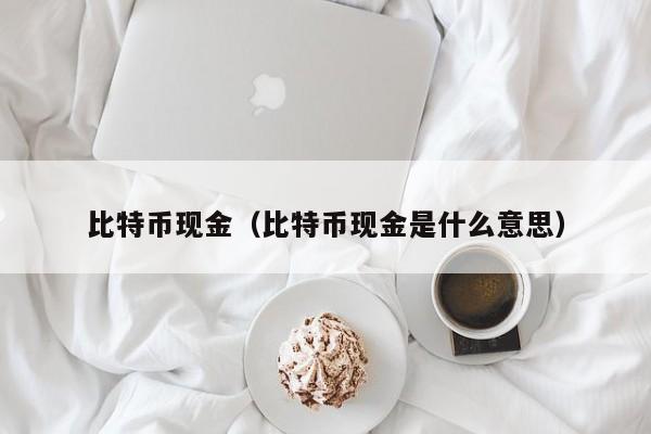 比特币现金（比特币现金是什么意思）