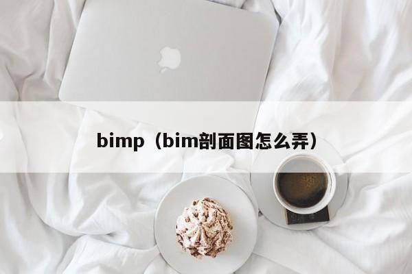 bimp（bim剖面图怎么弄）