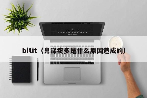 bitit（鼻涕痰多是什么原因造成的）