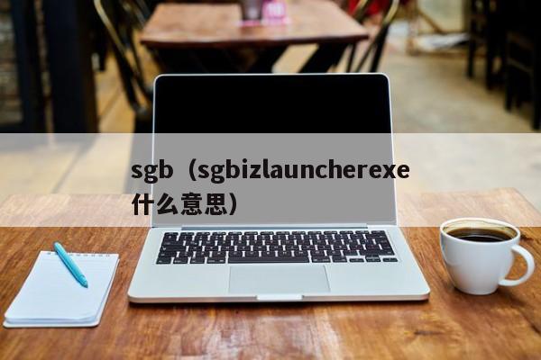 sgb（sgbizlauncherexe什么意思）